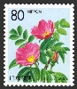 �k�C���Ţ�n�}�i�X�80�~