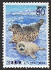 �k�C���Łu�S�}�t�A�U���V�v80�~