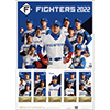 FIGHTERS 2022