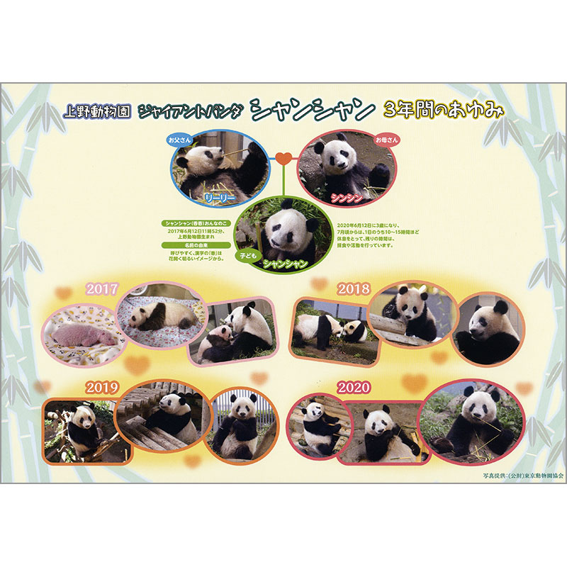 切手・趣味の通信販売｜スタマガネット 上野動物園 ジャイアント