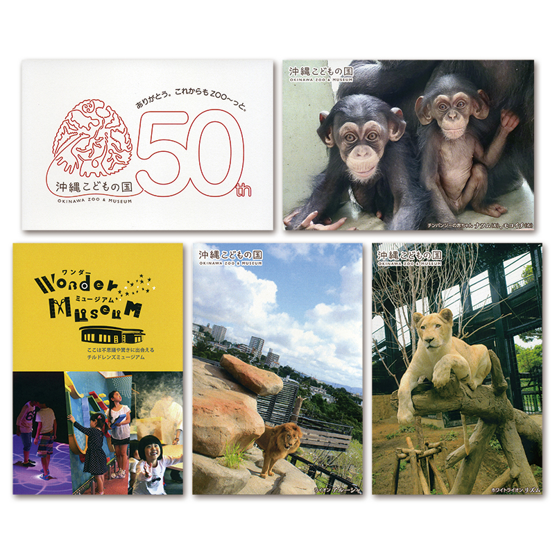 沖縄こどもの国開園50周年〜Okinawa Zoo ＆ MUSEUM〜