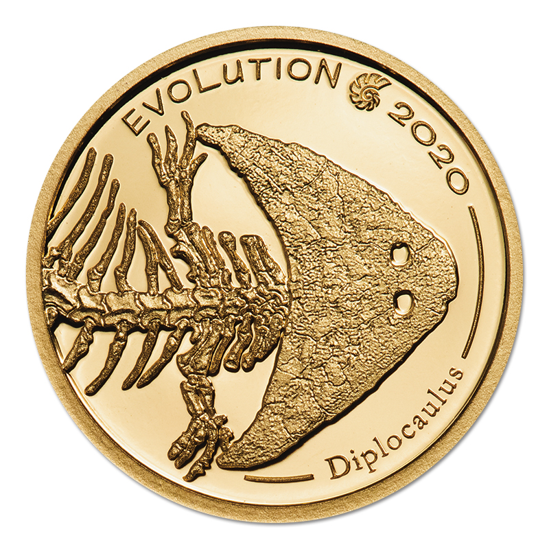 切手 趣味の通信販売 スタマガネット 生命の進化ディプロカウルス1000トグログプルーフ金貨 コイン 紙幣 関連グッズ 切手 趣味の通信販売 スタマガネット 生命の進化ディプロカウルス1000トグログプルーフ金貨 コイン 紙幣 関連グッズ