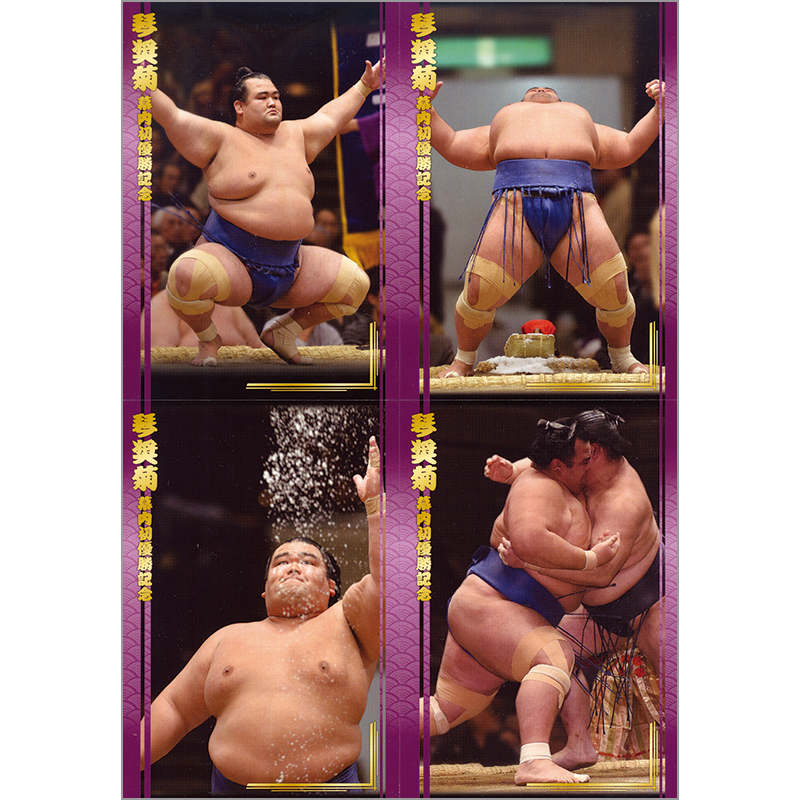 切手・趣味の通信販売｜スタマガネット 琴奨菊 幕内初優勝記念フレーム切手セット(琴奨菊): フレーム切手