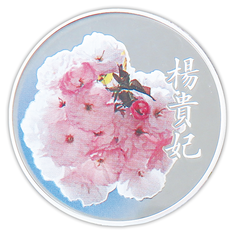 桜の通り抜け2021 プルーフ貨幣セット