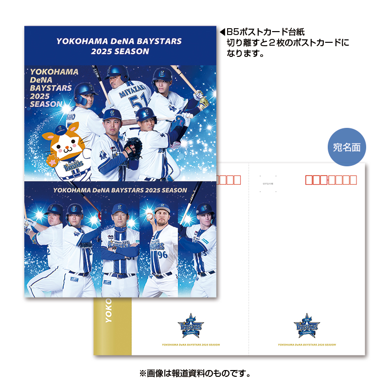 YOKOHAMA DeNA BAYSTARS 2025 SEASON