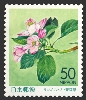 東北6県版：県の花（青森）「リンゴノハナ」