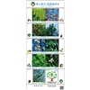 11年国土緑化「和歌山」10種シート（国際森林年）