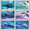 生態系回復／クジラ６種