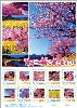 みなみの桜と菜の花まつり 2010