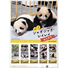 上野動物園ジャイアントパンダ　シャオシャオ・レイレイ誕生記念