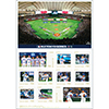 MLB V[Y2025 t[؎Zbg