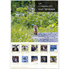 Life 4 Seasons vol.2 Izumi Yamakawa