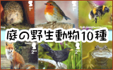 ̖쐶10^CMX