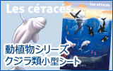 ���A���V���[�Y�@�N�W���ޏ��^�V�[�g�^�t�����X