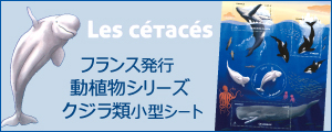 ���A���V���[�Y�@�N�W���ޏ��^�V�[�g�^�t�����X